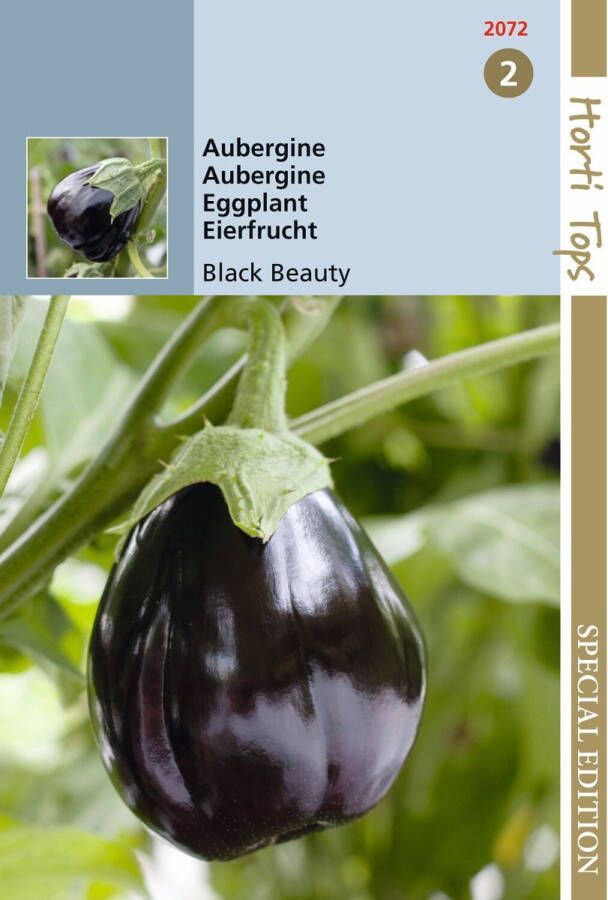 Hortitops 5 stuks HTS Aubergine Black Beauty
