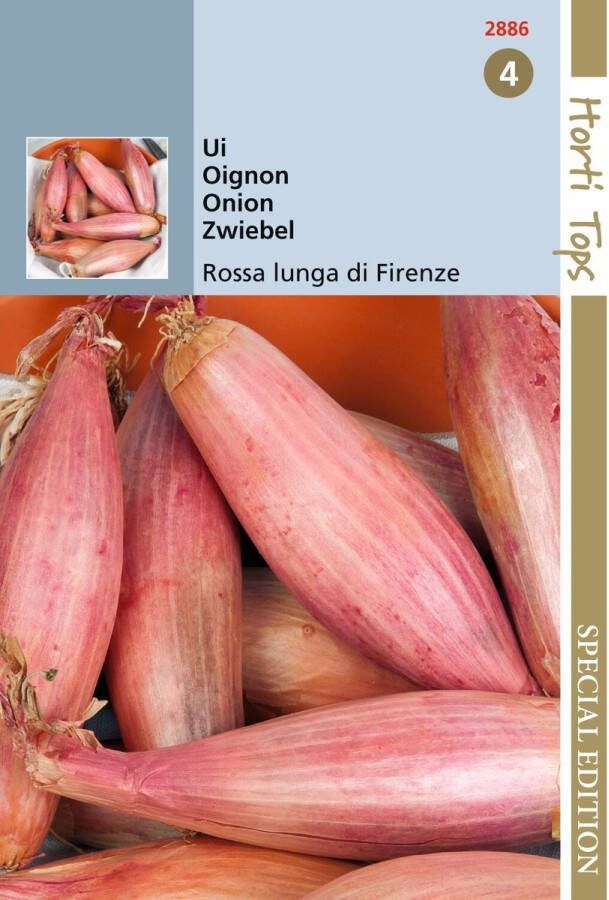 Hortitops 5 stuks HTS Uien Rossa lunga di Firenze