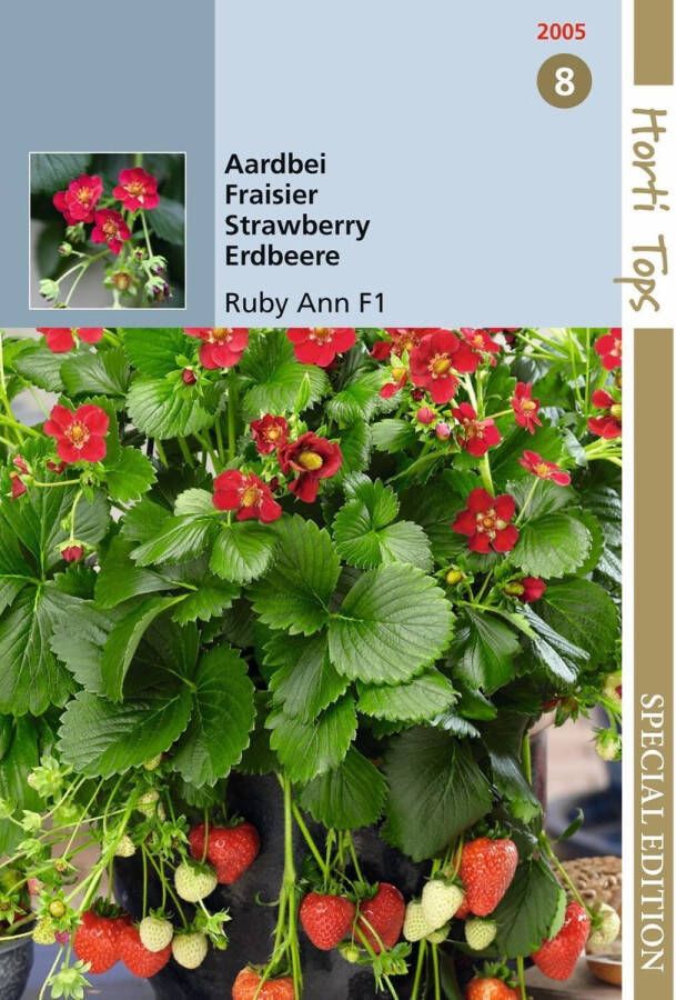 Hortitops Aardbeien Hangaardbei Ruby Ann F1