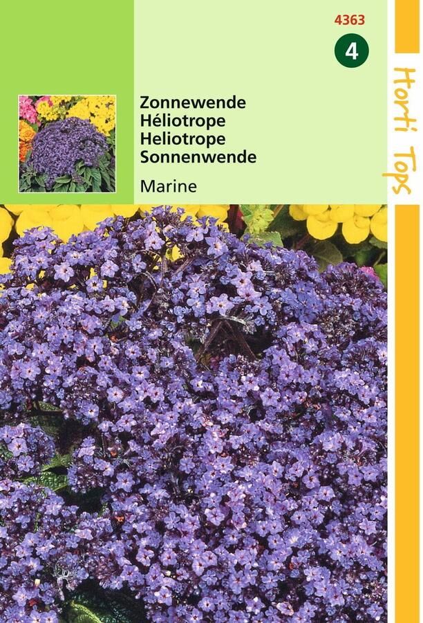 Hortitops 2 stuks Heliotropium Peruvianum Marine Blauw