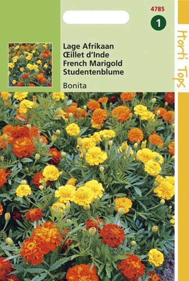 Hortitops Zaden Afrikaantje Bonita (Tagetes patula nana)