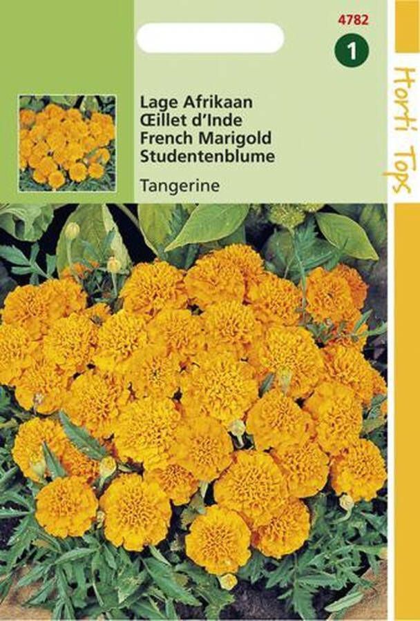Hortitops Zaden Afrikaantje Tangerine (Tagetes patula nana)