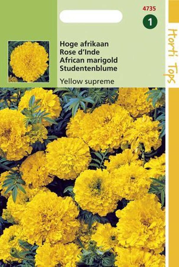 Hortitops Zaden Afrikaantje Yellow Supreme (Tagetes erecta)