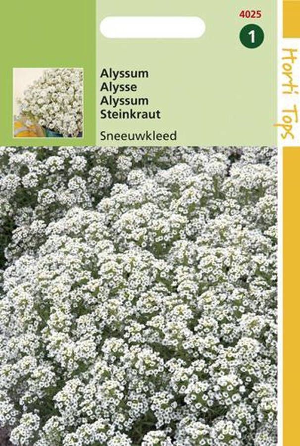 Hortitops zaden Alyssum Sneeuwkleed