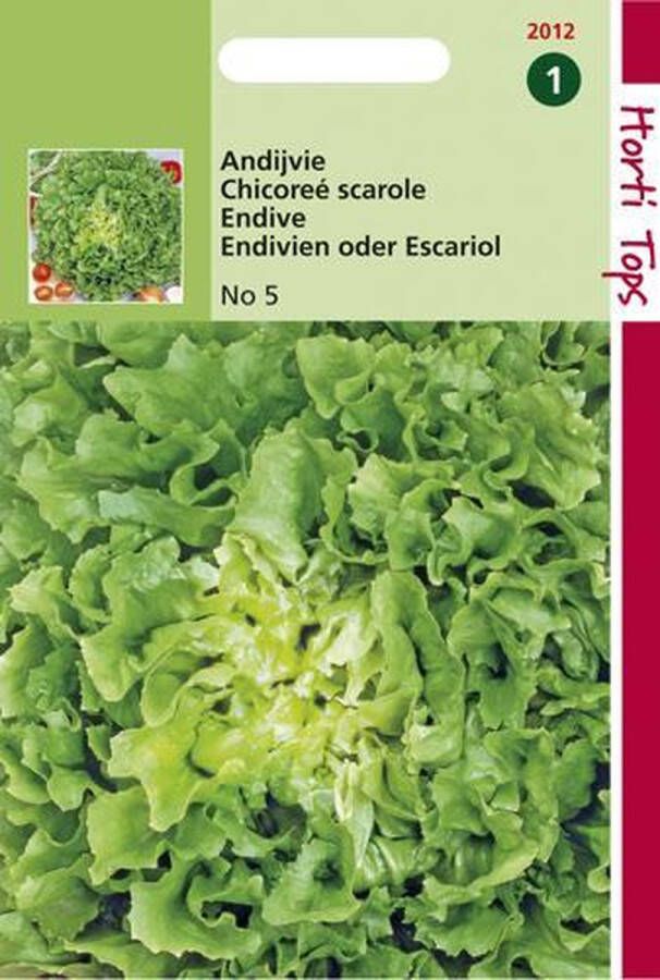 Hortitops Andijvie Cichorium endivia Nummer Vijf 2 Andijvie 3 gram