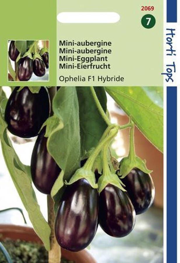 Hortitops Aubergine Solanum melongena Ophelia F1 hybride Overige groenteplanten 10 stuks