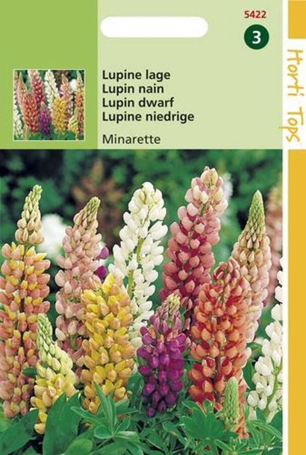 Hortitops Zaden Lupine Minarette Mix (Lupinus)