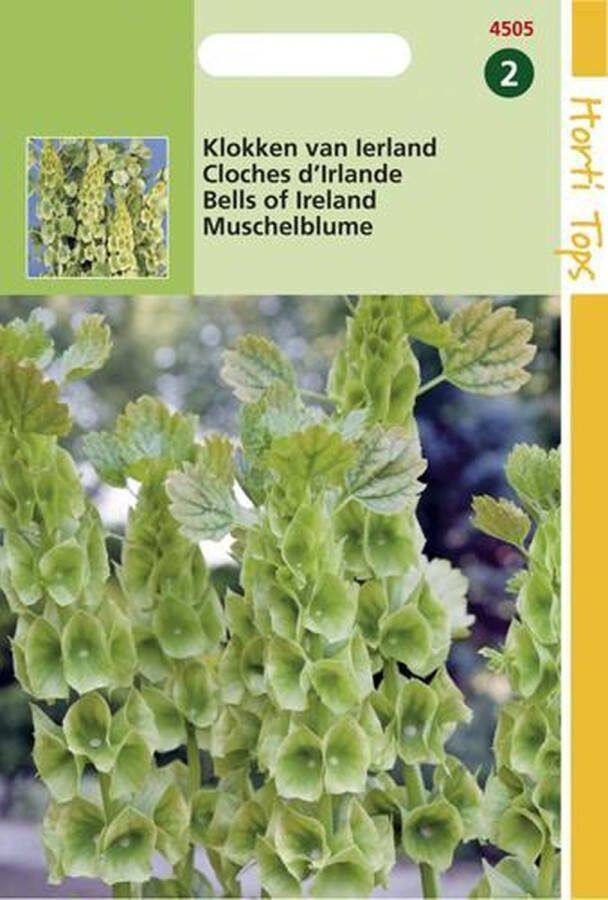 Hortitops Zaden Moluccella Laevis (Klokken Van Ierland)