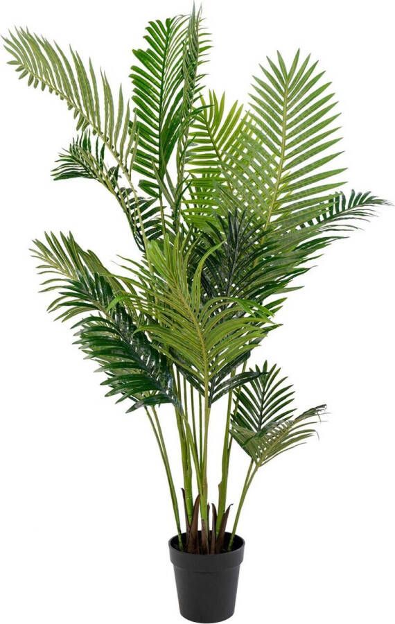 House Nordic Areca Palm Kunstmatige Areca Palm 175 cm