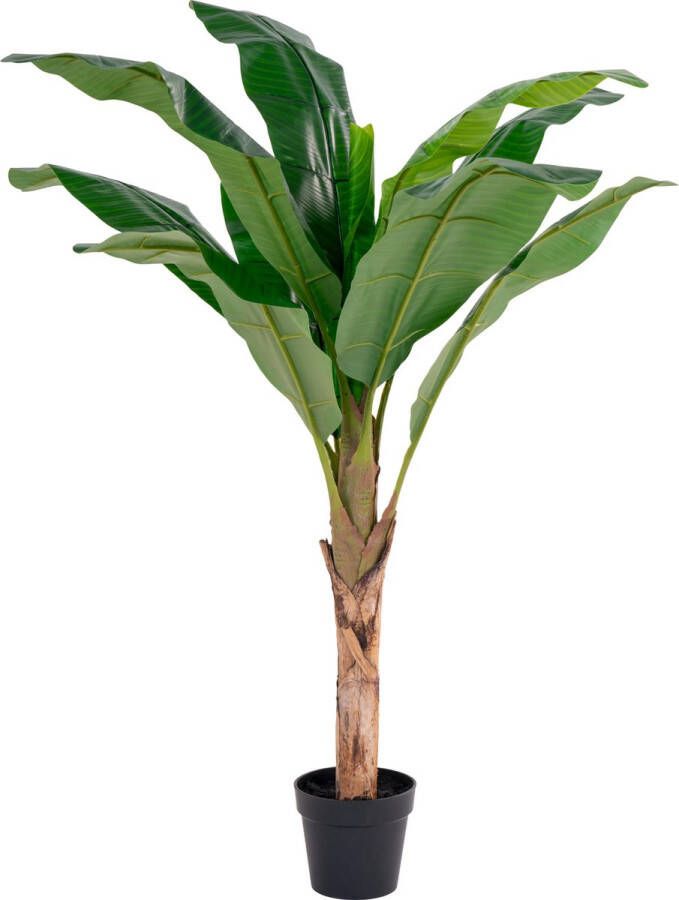 House Nordic Moderne groene ''Banana Palm'' plant plastic