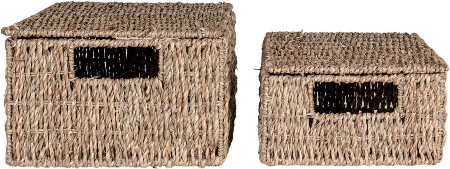 House Nordic Venoso Baskets Rechthoekige manden met deksel in zeegras set van 2