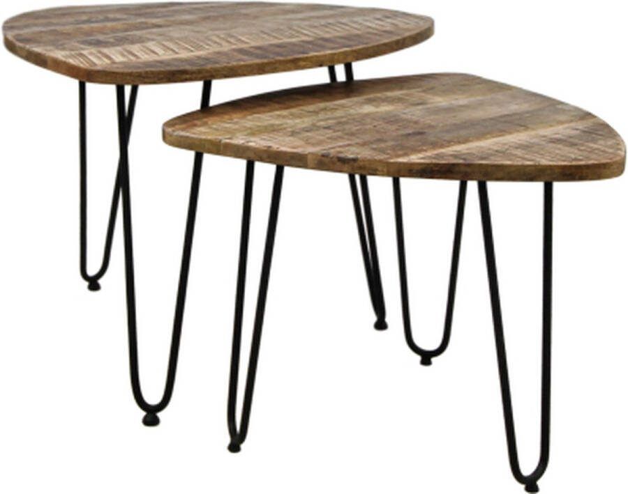 HSM Collection salontafel Dexter (2 stuks) naturel zwart Leen Bakker