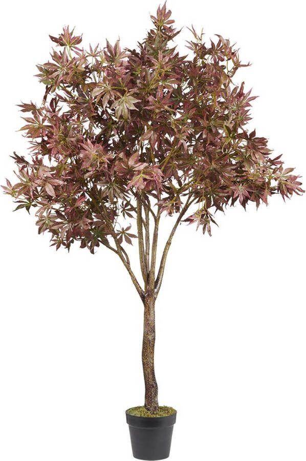 HTT Decorations Kunstplant Acer (Japanse esdoorn) H165cm