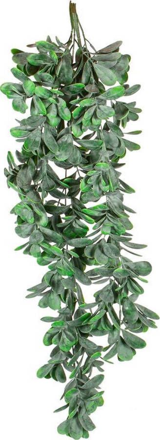 HTT Decorations MICA DECORATIONS Kunstplant Crassula L 79 cm Groen