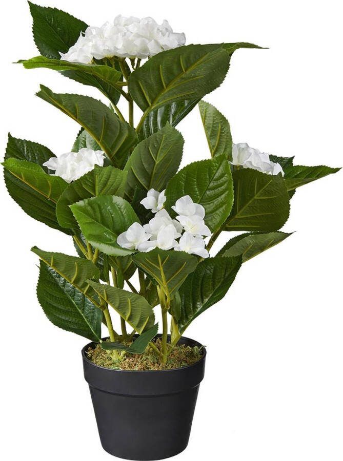HTT Decorations Kunstplant Hortensia wit H60cm
