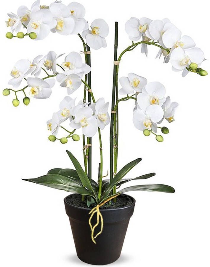 HTT Decorations – Kunstplant Orchidee Phalaenopsis XL 5-tak wit H68cm