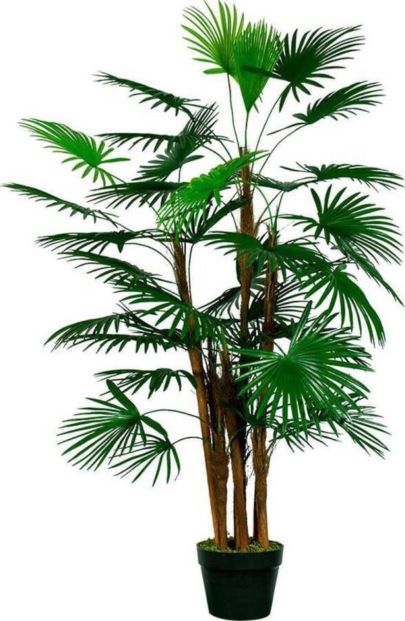 HTT Decorations – Kunstplant Rhapis palm H120cm