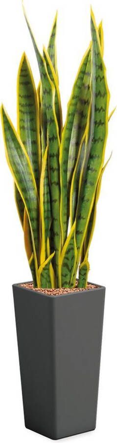 HTT Decorations Kunstplant Sansevieria in Clou vierkant antraciet H115 cm