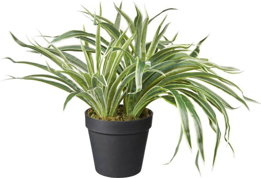 HTT Decorations Kunstplant Siergras bont H30cm