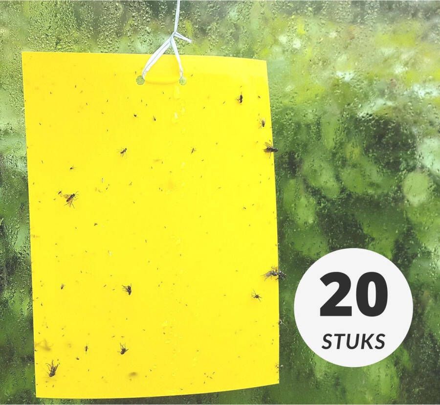 HUZZL gele lijmvallen 20 stuks vangplaten 15x20cm vangkaarten lijmplaten tegen insecten zoals rouwvliegjes witte vlieg bladluis en mineervliegen geschikt voor binnen buiten kweektent of kas