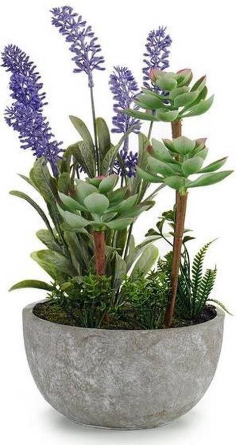 IBERGARDEN Decoratieve plant Plastic Cement