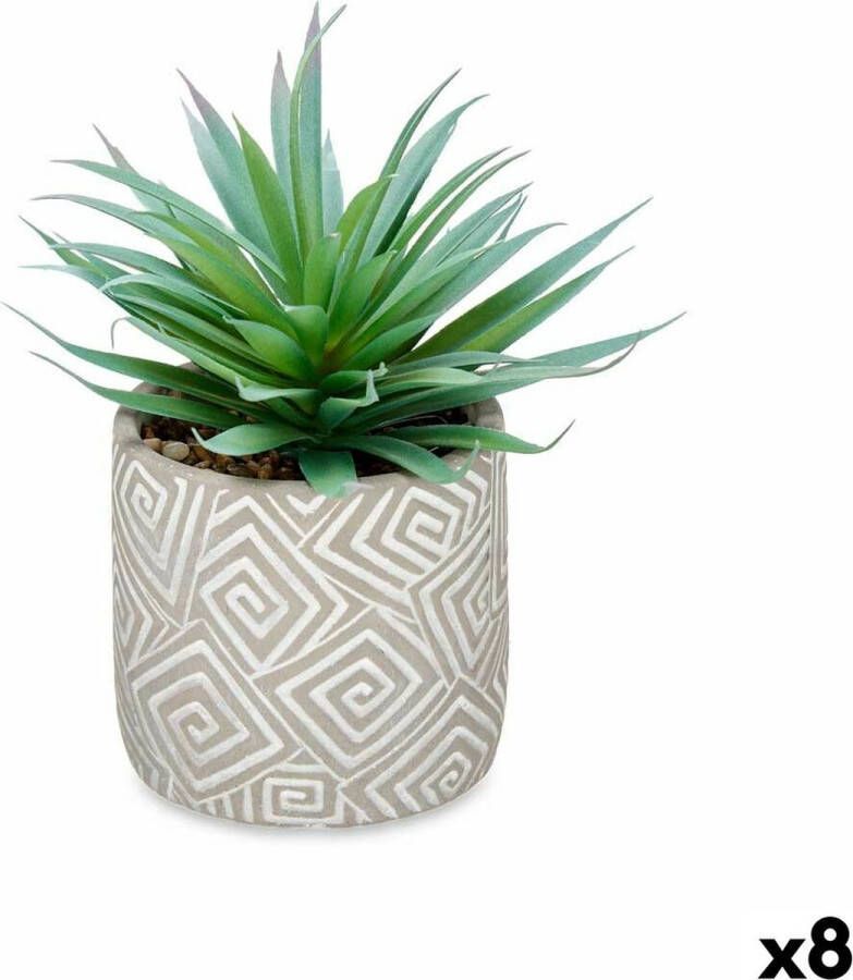 IBERGARDEN Decoratieve plant Vetplant Hout Plastic 17 x 21 x 17 cm (8 Stuks)