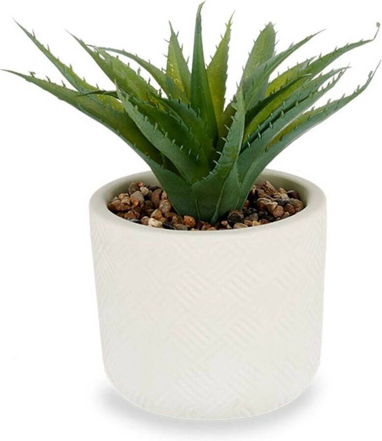 IBERGARDEN Decoratieve plant Vetplant Plastic 14 x 18 x 14 cm (12 Stuks)