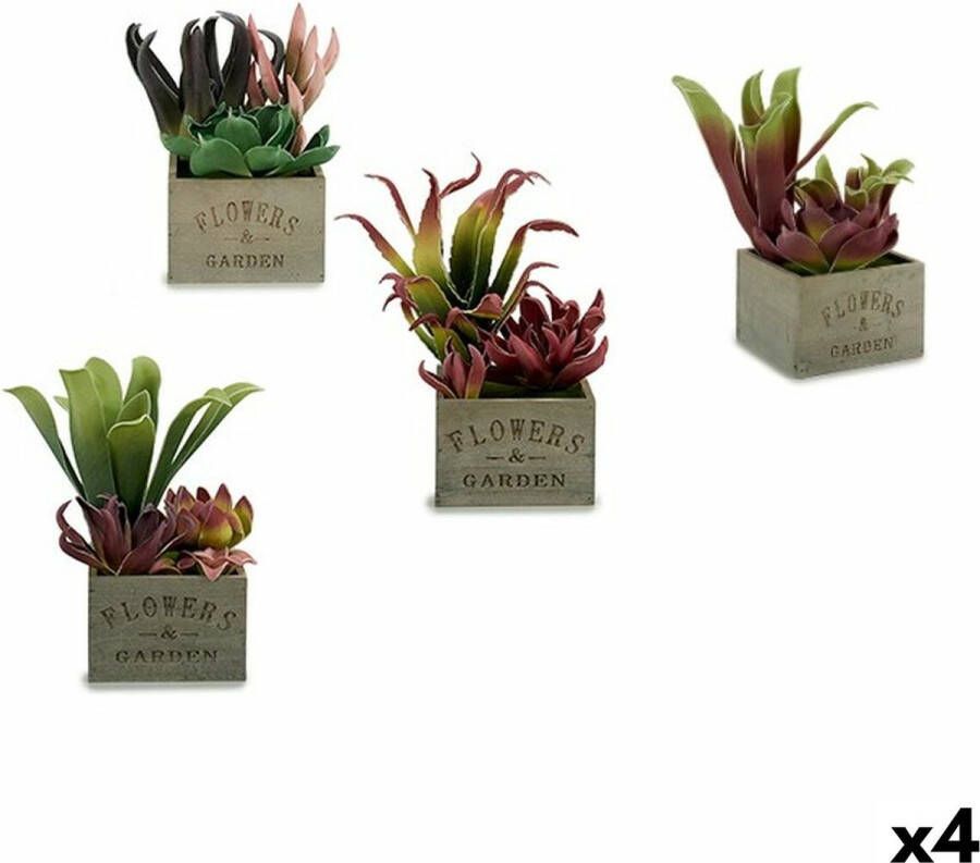 IBERGARDEN Decoratieve plant Vetplant Tweekleurig Plastic 15 x 28 x 15 cm (4 Stuks)