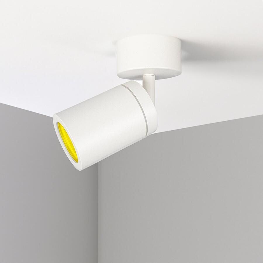 Ideus Smart Badkamer plafondspot Enkel Wit IP44 Hue compatible Incl. Zigbee spots