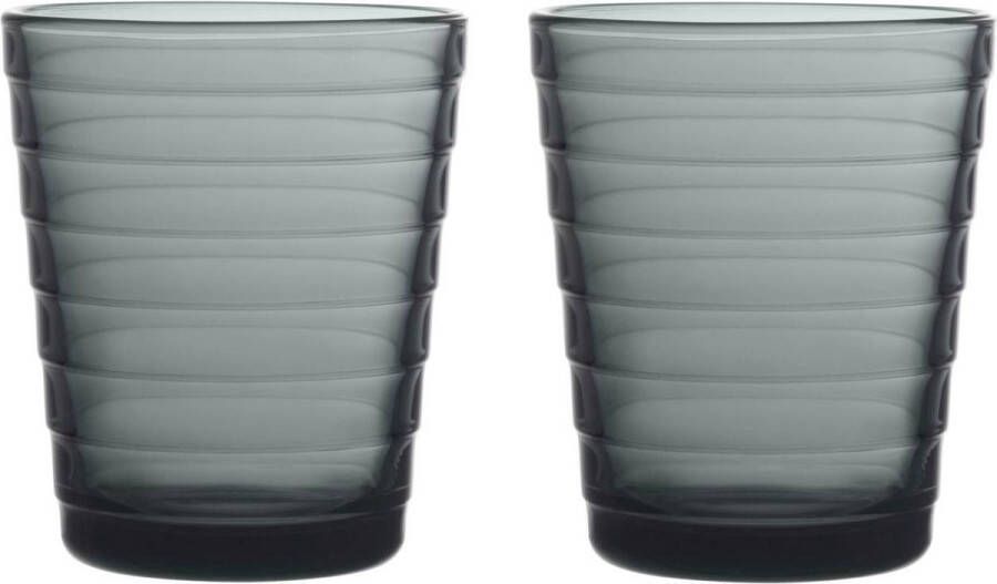 Iittala Aino Aalto Tumbler Glazen Set Waterglas Vaatwasserbestendig Donkergrijs 22 cl 2 Stuks