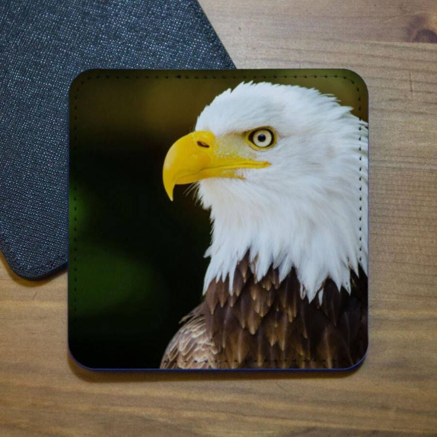 ILOJ onderzetter Amerikaanse zeearend vierkant