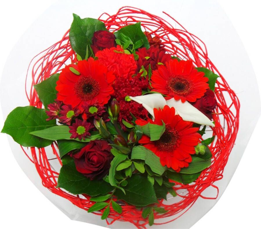 Bloemen thuisbezorgd Lola products Boeket Sisal Large Rood ↨ 35cm bloemen boeket boeketje bloem droogbloemen bloempot cadeautje