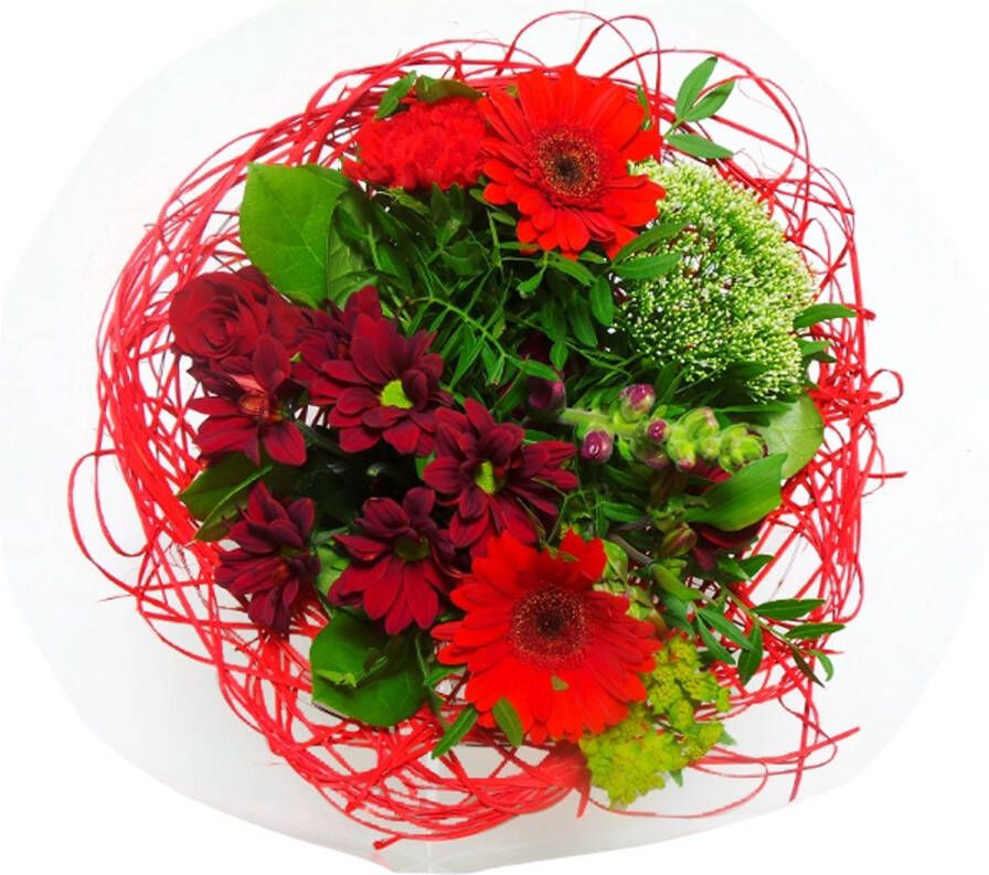 Bloemen thuisbezorgd Lola products Boeket Sisal Medium Rood ↨ 30cm bloemen boeket boeketje bloem droogbloemen bloempot cadeautje