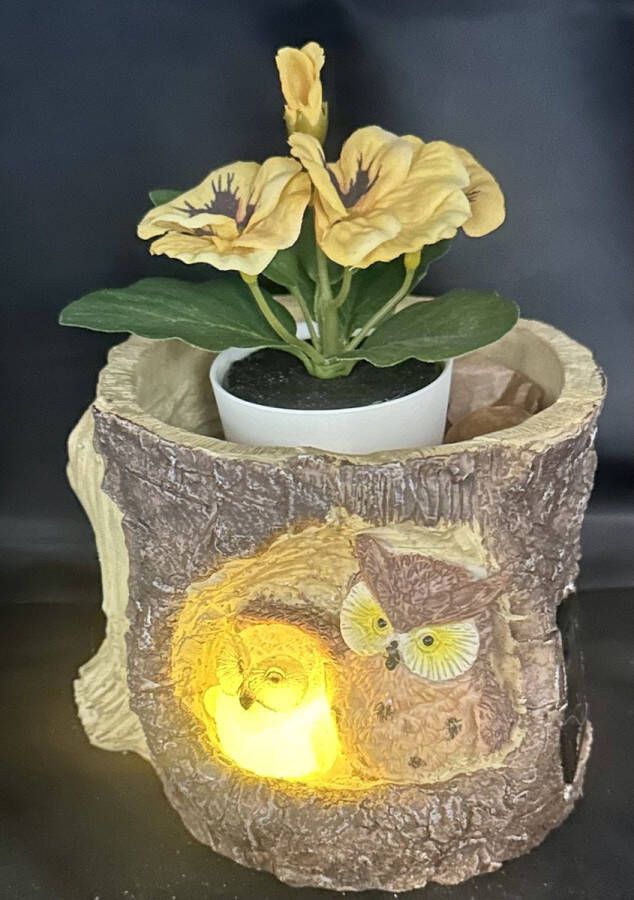 Impuls Decoratieve Polyresin solarlamp bloempot Uilen meerkleurig met LED staand model exclusief plant hoogte 13 x 13 x 10 cm Tuindecoratie Tuinverlichting