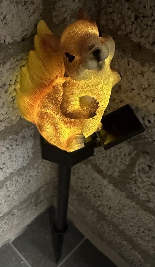Impuls Polyresin solarlamp op tuinsteker Eekhoorn meerkleurig tuinsteker hoogte 43 x 11 x 2 cm Tuindecoratie Tuinverlichting