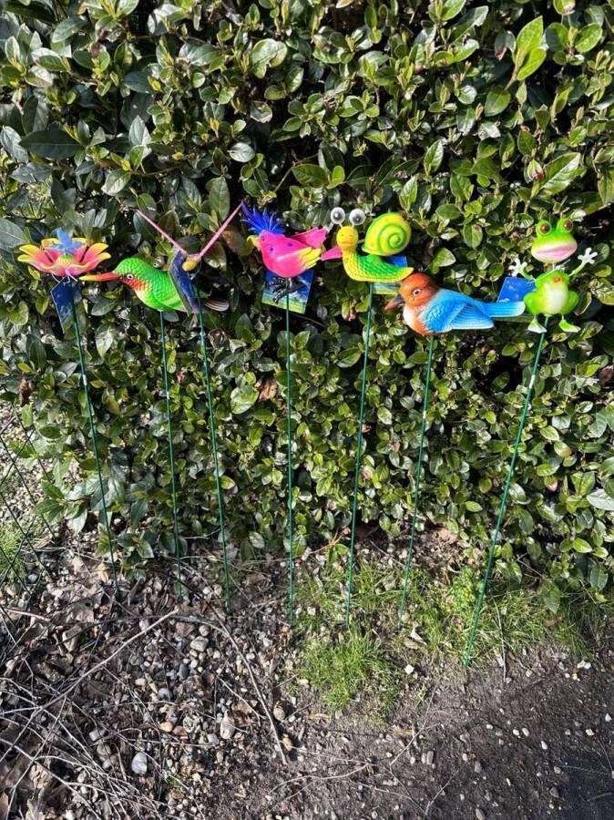 Impuls Kunststof ''tropische vogels en dieren op metalen stekers Set van 7 stuks Multi-colour hoogte 55x10x13cm Tuindecoratie Tuinstekers Tuinaccessoires