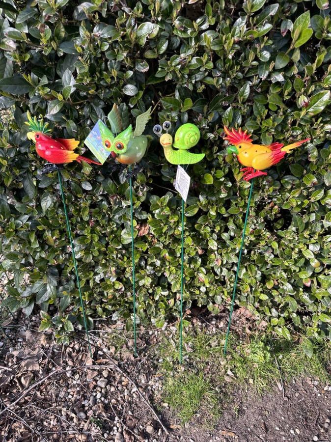 Impuls Kunststof ''tropische vogels groene slak en uil op metalen stekers Set van 4 stuks Multi-colour hoogte 55x10x13cm Tuindecoratie Tuinstekers Tuinaccessoires