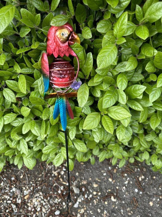 Impuls Metaal solarlamp op tuinsteker Papegaai meerkleurig tuinsteker hoogte 60 x 20 x 2 cm Tuindecoratie Tuinverlichting