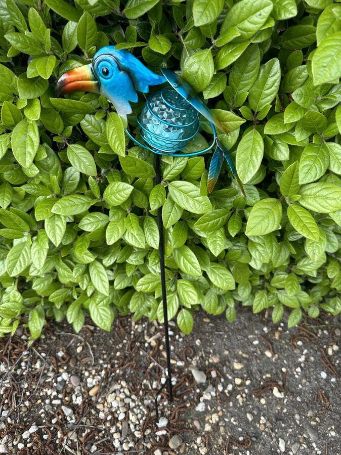 Impuls Metaal solarlamp op tuinsteker Tropische blauwe vogel meerkleurig tuinsteker hoogte 60 x 20 x 2 cm Tuindecoratie Tuinverlichting