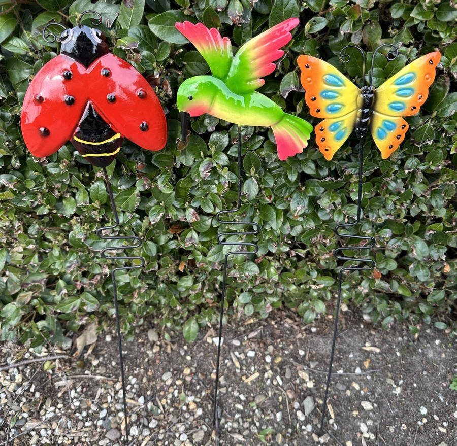 Impuls Metalen deco tuinstekers Lieveheersbeestje vlinder vogel Set van 3 stuks meerkleurig hoogte 60 x 14 x 1 cm Tuinaccessoires Tuindecoratie – Tuinstekers