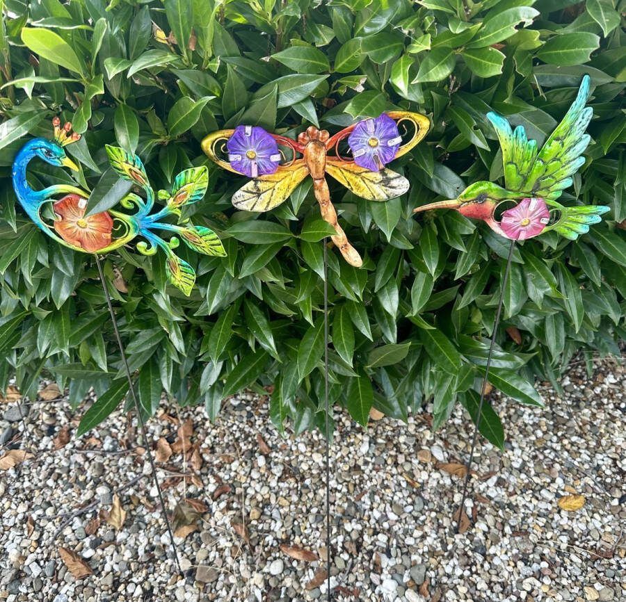 Impuls Metalen deco tuinstekers vlinder kolibri pauw Set van 3 stuks meerkleurig + glazen sierstenen hoogte 62 x 19 x 1 cm Tuinaccessoires Tuindecoratie – Tuinstekers