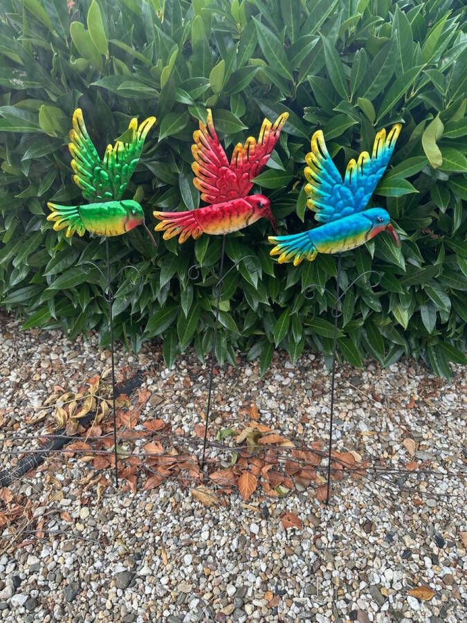 Impuls Metalen deco tuinstekers vogels Set van 3 stuks groen rood en blauw hoogte 58 x 15 x 19 cm Tuinaccessoires Tuindecoratie – Tuinstekers