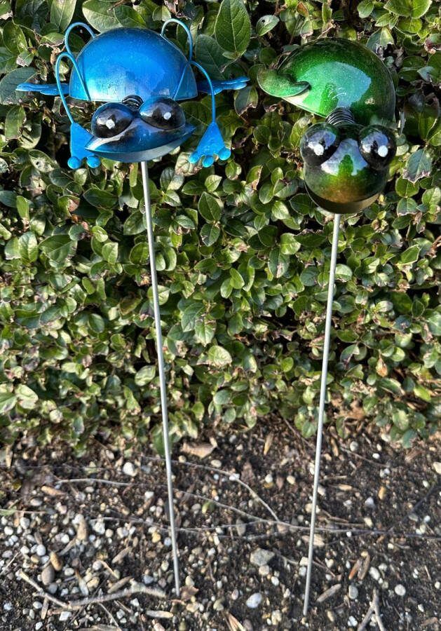 Impuls Metalen tuinstekers kikker en schildpad Set van 2 stuks Blauw en groen hoogte 62 x 15 x 1 cm Tuindecoratie Tuinaccessoires Tuinstekers