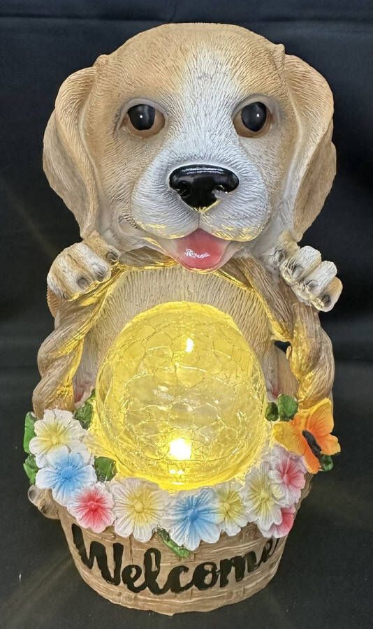 Impuls Polyresin solarlamp hond op mand Welcome en craquele bol meerkleurig met warm witte LED Staand model hoogte 20 x 16 x 14 cm Tuindecoratie Tuinverlichting