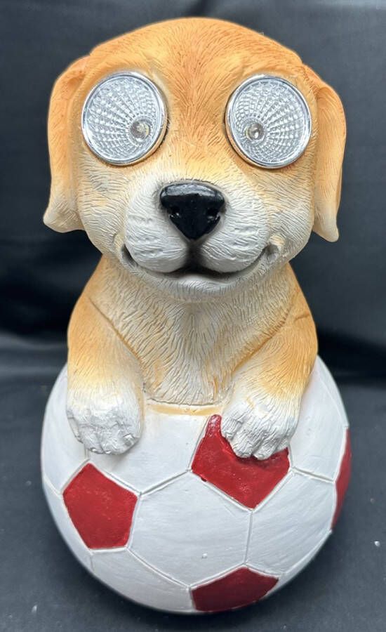 Impuls Polyresin solarlamp hond op voetbal meerkleurig met 2 LEDs Staand model hoogte 20 x 13 x 8 cm Tuindecoratie Tuinverlichting