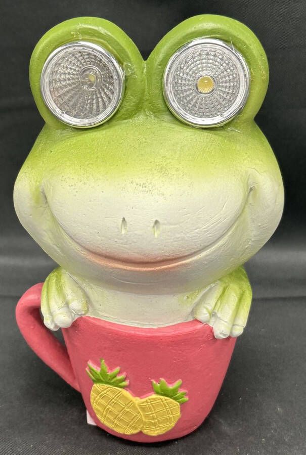 Impuls Polyresin solarlamp kikker in kop met ananassen meerkleurig met 2 LEDs staand model hoogte 14 x 10 x 5 cm Tuindecoratie Tuinverlichting
