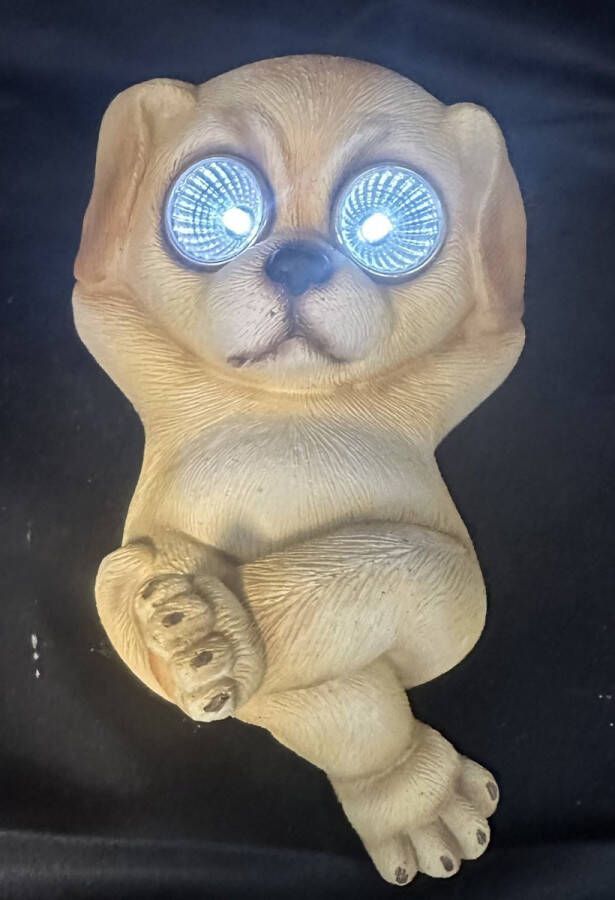 Impuls Polyresin solarlamp liggende hond meerkleurig met 2 LEDs Staand model hoogte 6 x 19 x 16 cm Tuindecoratie Tuinverlichting