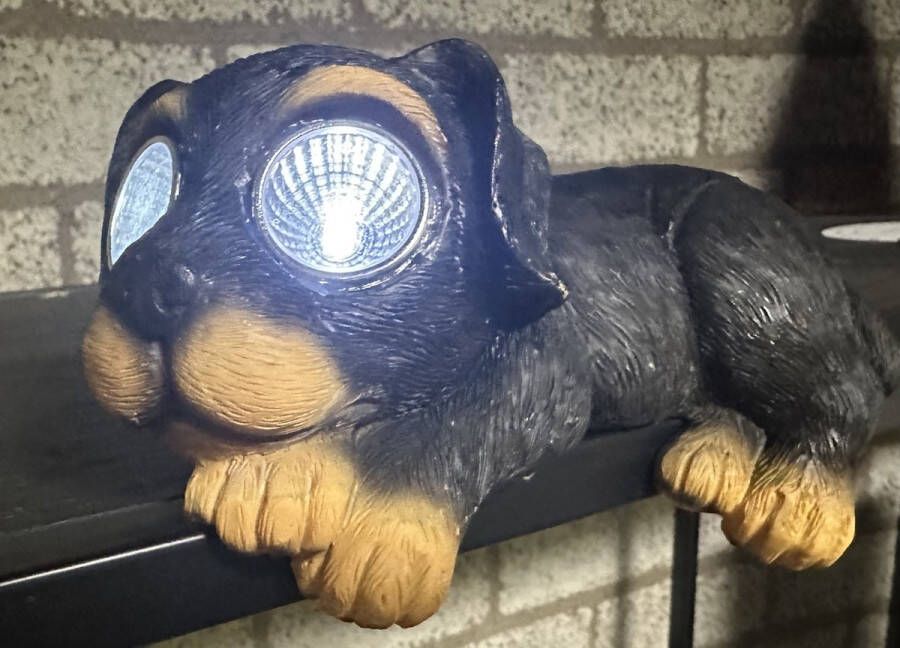 Impuls Polyresin solarlamp liggende hond meerkleurig met 2 LEDs tafel model hoogte 7 x 18 x 14 cm Tuindecoratie Tuinverlichting
