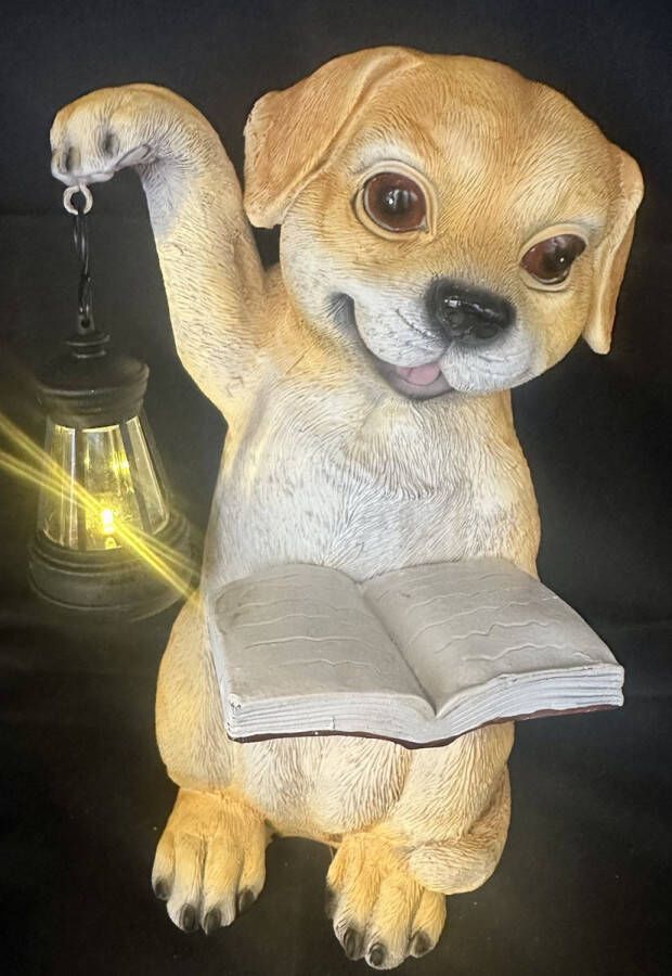 Impuls Polyresin solarlamp met lantaarn Hond met boek meerkleurig met LED staand model hoogte 24 x 18 x 14 cm Tuindecoratie Tuinverlichting
