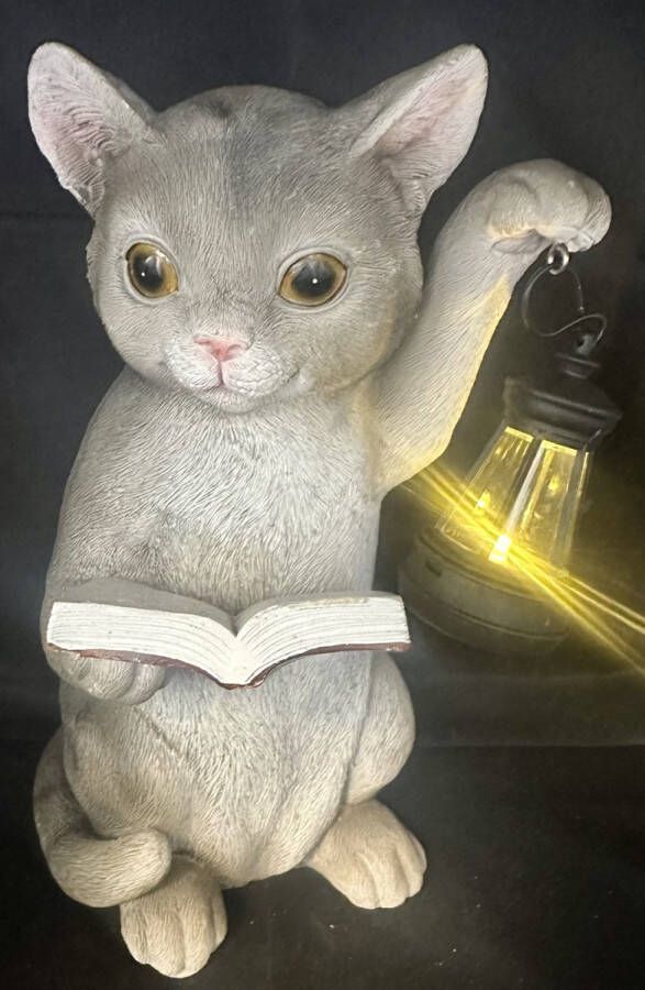 Impuls Polyresin solarlamp met lantaarn Kat met boek meerkleurig met LED staand model hoogte 24 x 18 x 14 cm Tuindecoratie Tuinverlichting